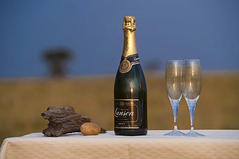 Champagne arrangement, sun downer, Africa