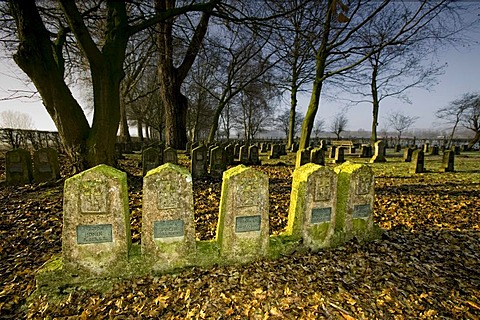 War graves, 1st World War, Nienberge, Schonebeck, Haus Spital settlement, Muenster, North Rhine-Westphalia, Germany, Europe