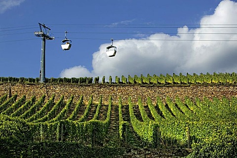 Cable car in Ruedesheim am Rhein, Middle Rhine Valley, UNESCO World Heritage Site, Rhineland-Palatinate, Germany, Europe