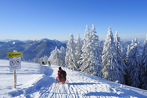 Sledders on Mt. Wallenberg, Bavarian Alps, Upper Bavaria, Bavaria, Germany, Europe