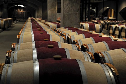 French oak barrels in the aging cellar of the Robert Mondavi Winery, Napa Valley, California, USA