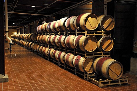 French oak barrels in the aging cellar of the Robert Mondavi Winery, Napa Valley, California, USA