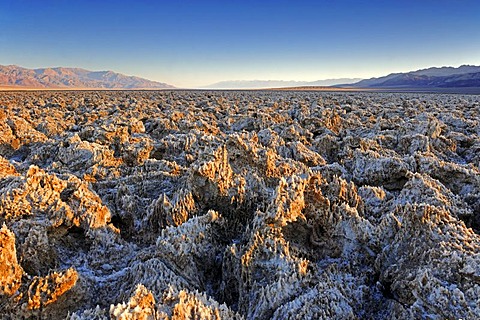 Morning light at the Devil's Golf Course, Death Valley National Park, California, USA, North America