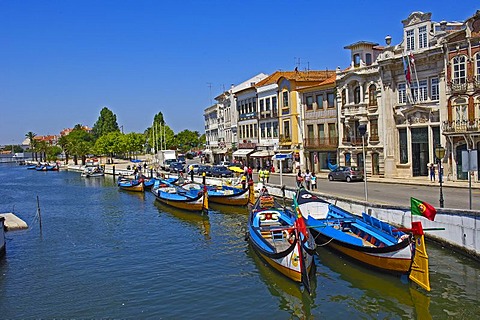 Traditional boats "Moliceiros", Canal central, Aveiro, Beiras region, Portugal, Europe