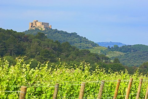 Beauregard Castle near Narbonne, Cathar country, Aude, Languedoc-Roussillon, France, Europe