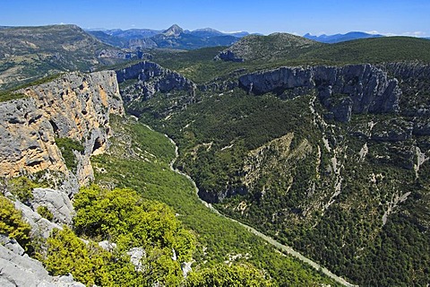 Canyon of the Verdon River, Verdon Regional Natural Park, Gorges du Verdon, Provence, Provence-Alpes-Cote-d'Azur, France, Europe