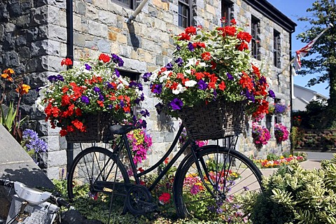 Floral decoration of a bicycle shop, Guernsey, Channel Islands, Europe