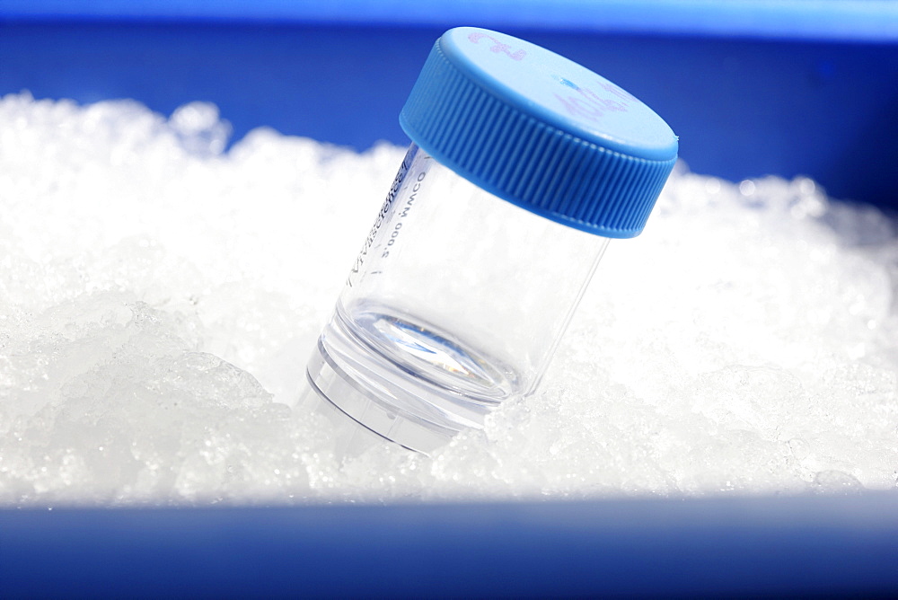 Small glass jar, Centre for Medical Biotechnology at the University of Duisburg-Essen, North Rhine-Westphalia, Germany, Europe