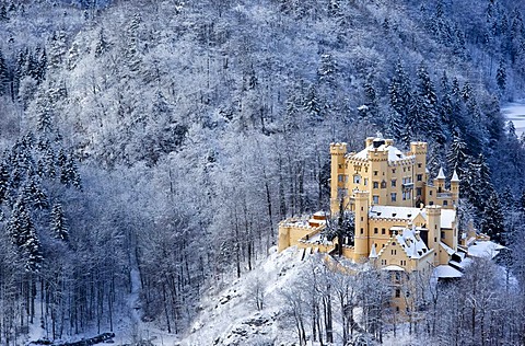 Hohenschwangau Castle in winter, Bavaria, Germany, Europe