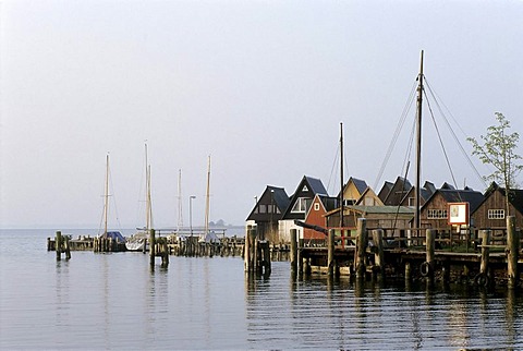 Boat houses at the Bodden, brackish bodies of water, Althagen Harbor, Ahrenshoop, Fischland-Darss-Zingst, Coast of the Baltic Sea, Mecklenburg-Western Pomerania, Germany, Europe