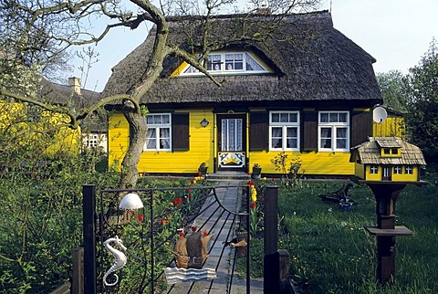 Idyllic house with a thatched roof and a garden, Born, Fischland-Darss-Zingst, Coast of the Baltic Sea, Mecklenburg-Western Pomerania, Germany, Europe