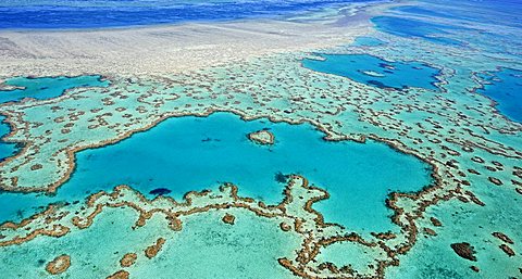 Aerial view of the ocean floor, Heart Reef, heart-shaped reef, Great Barrier Reef World Heritage Area, Great Barrier Reef, UNESCO World Heritage Site, Queensland, South Pacific, Australia