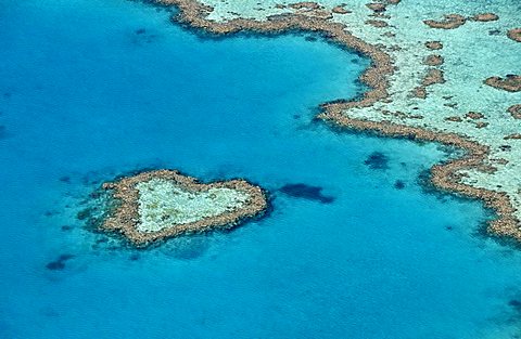 Aerial view of the ocean floor, Heart Reef, heart-shaped reef, Great Barrier Reef World Heritage Area, Great Barrier Reef, UNESCO World Heritage Site, Queensland, South Pacific, Australia