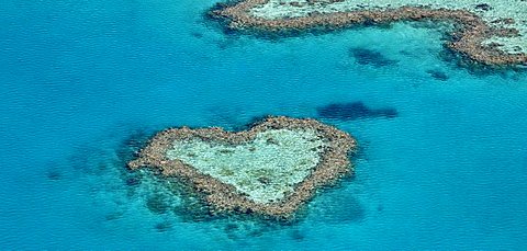 Aerial view of the ocean floor, Heart Reef, heart-shaped reef, Great Barrier Reef World Heritage Area, Great Barrier Reef, UNESCO World Heritage Site, Queensland, South Pacific, Australia