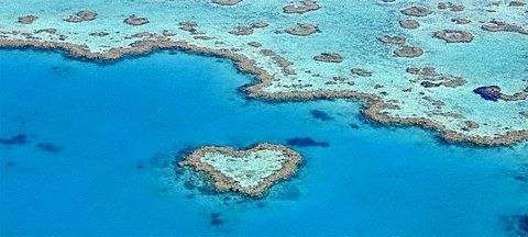 Panorama, aerial view of the ocean floor, Heart Reef, heart-shaped reef, Great Barrier Reef World Heritage Area, Great Barrier Reef, UNESCO World Heritage Site, Queensland, South Pacific, Australia