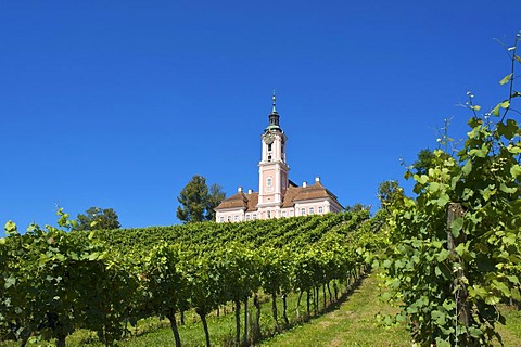 Wallfahrtskirche Birnau Marian pilgrimage church, Birnau, Lake Constance, Baden-Wuerttemberg, Germany, Europe