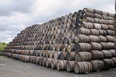 Stacked wooden whiskey barrels, oldest licensed whiskey distillery in the world, Locke's Distillery, Kilbeggan, Westmeath, Midlands, Republic of Ireland, Europe