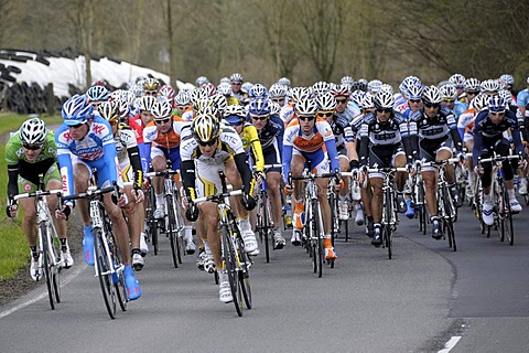 Rund um Koeln, cycle race, peloton in Unterthal, Kuerten, Rheinisch-Bergisch Kreis district, North Rhine-Westphalia, Germany, Europe