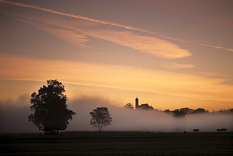 The church of Seeg in early morning fog, Ostallgaeu, Bavaria, Germany, Europe