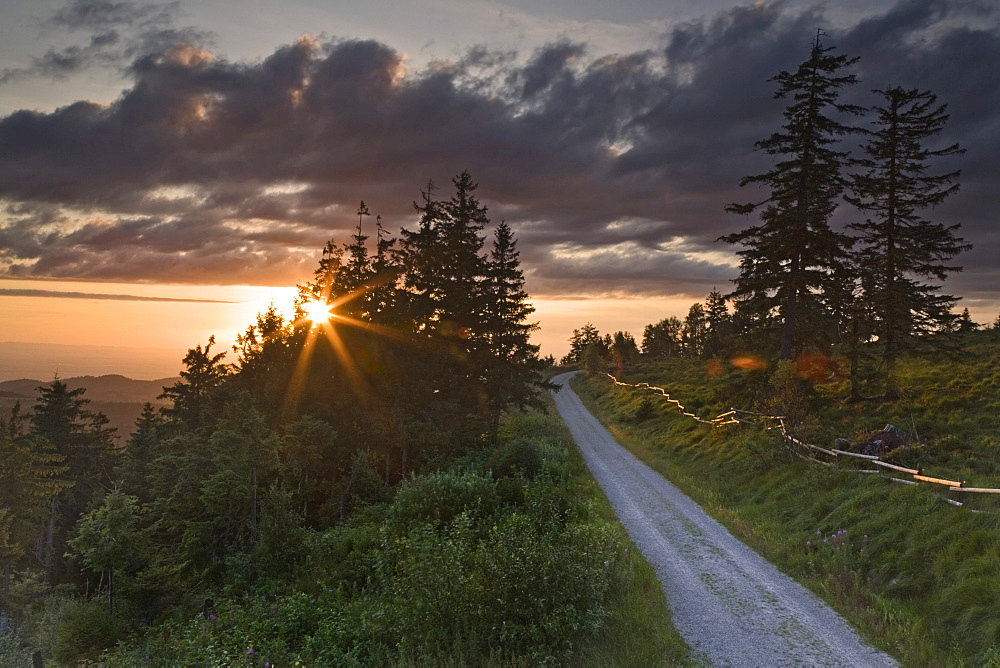 Sunset at the hiking trail around Schliffkopf mountain in the Black Forest, Baden-Wuerttemberg, Germany, Europe