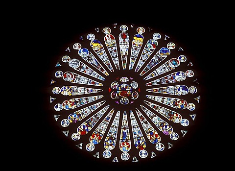 Rose window in the Cathedral of St-Maurice, Angers, Maine-et-Loire, Pays de la Loire, France, Europe