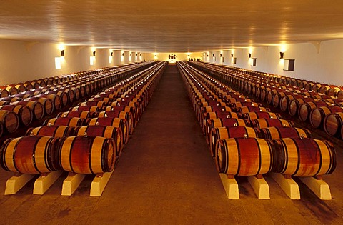 Oak wine barrels, wine cellar, Chateau Mouton-Rothschild in Pauillac, Haut-Medoc, Aquitaine, France, Europe