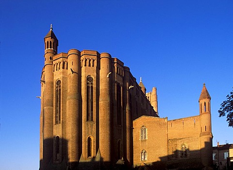 Cathedrale Sainte-Cecile d'Albi Cathedral, Albi, Tarn, Midi-Pyrenees, France, Europe