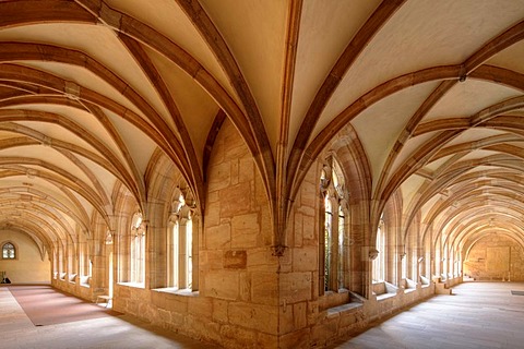 Cloister in Langenzenn, Middle Franconia, Franconia, Bavaria, Germany, Europe