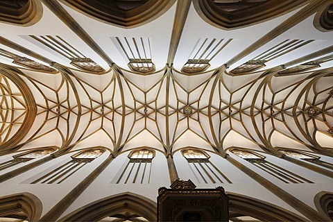 Starry vault of the church ceiling, Basilica of St. Ulrich and Afra, Augsburg, Schwaben, Bavaria, Germany, Europe