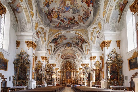 Studienkirche Mariae Himmelfahrt study church, Dillingen an der Donau, Donauried region, Swabia, Bavaria, Germany, Europe