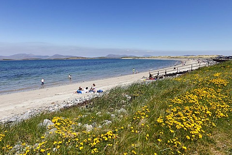 Beach near Murrisk, Clew Bay, County Mayo, Connacht province, Republic of Ireland, Europe