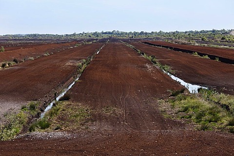 Peat harvest, Tullamore, County Offaly, Leinster province, Republic of Ireland, Europe