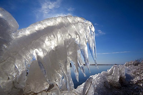 Frozen grass beside a lagoon near Vik in the wintery Iceland, Europe