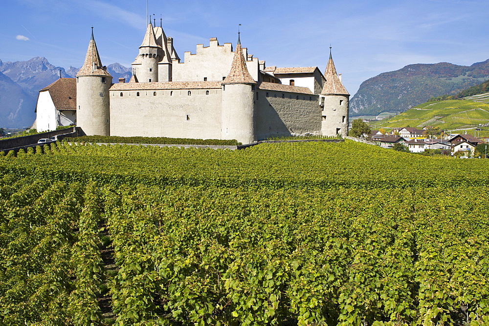 Chateau d'Aigle in the vineyards of Lausanne, Canton of Vaud, Switzerland, Europe