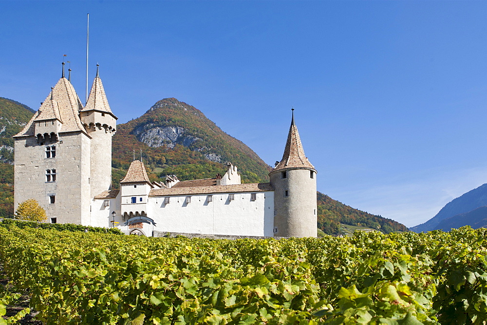 Chateau d'Aigle in the vineyards of Lausanne, Canton of Vaud, Switzerland, Europe