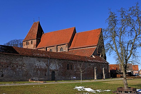 Eastern view of the old Abbey Church with monastery wall, against blue sky, founded in 1230, Rhena, Mecklenburg-Western Pomerania, Germany, Europe