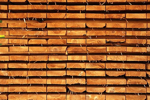 Stacked boards, Othenstorf, Mecklenburg-Western Pomerania, Germany, Europe