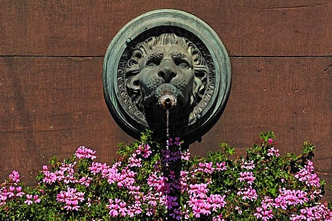 Lion head spouting water on the Grossherzog-Ludwig-Denkmal Brunnen memorial fountain, marketolace, Karlsruhe, Baden-Wuerttemberg, Germany, Europe