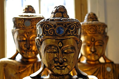 Heads of Asian temple guardians in front of a window, Freiburg, Baden-Wuerttemberg, Germany, Europe