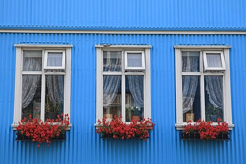 Window boxes with flowers, traditional Icelandic corrugated iron house, Reykjavik, Iceland, Europe