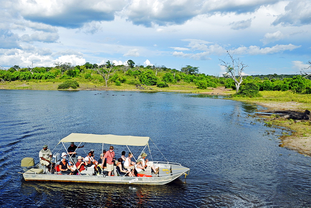 Safari on the Chobe River, boat trip with tourists in the Chobe National Park near Kasane, Botswana, Africa