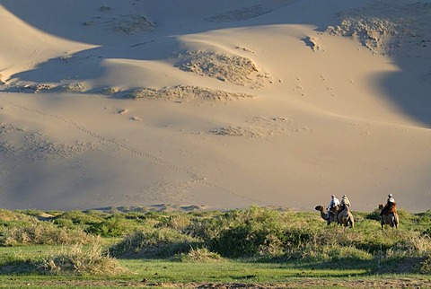 Tourists on camel riding through a lush green grass landscape towards the great Khorgoryn Els sand dunes in the Gobi Desert, Gurvan Saikhan National Park, Oemnoegov Aimak, Mongolia, Asia