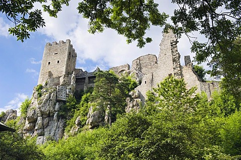 Weissenstein Castle ruins, Bavarian Forest National Park, Lower Bavaria, Germany, Europe