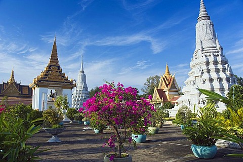 Equestrian statue of King Norodom, gardens of the Royal Palace, Phnom Penh, Cambodia, Indochina, Southeast Asia, Asia