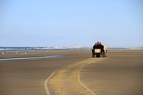 Carriage on the beach, Juist, Lower Saxony, Germany, Europe