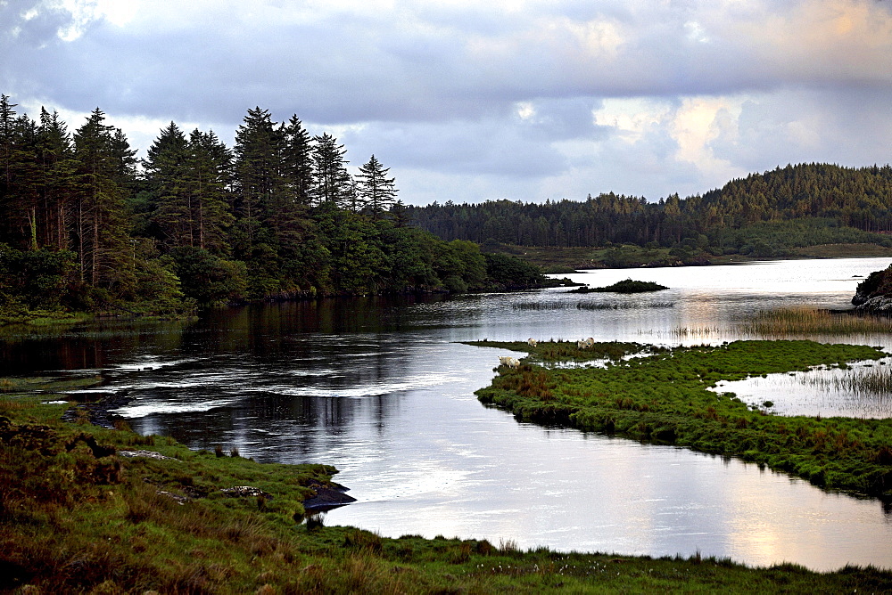 Connemara landscape, County Galway, Republic of Ireland, Europe