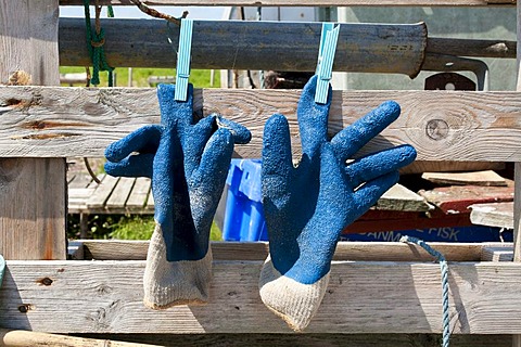 Working gloves left to dry