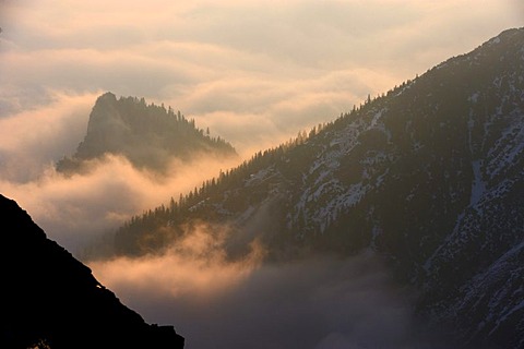 Forested mountain peaks above a layer of fog, Graen, Tannheimertal valley, Ausserfern, Tyrol, Austria, Europe