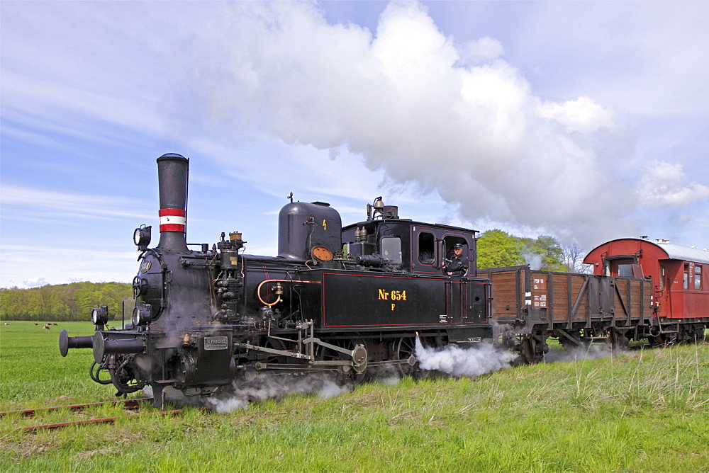 Angeln steam railway, Schlei, Schleswig-Holstein, Germany, Europe