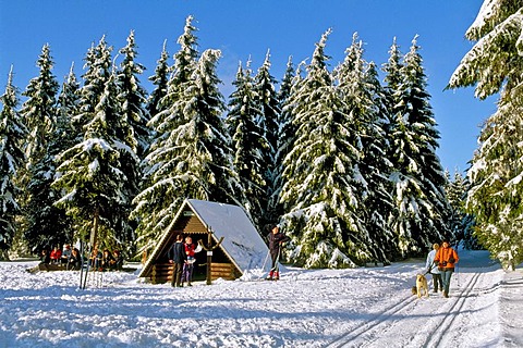 Cross-country ski trail, Rennsteig trail, Oberhof, Thuringia, Germany, Europe